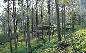 Relaxing 2 B/R Estate House, Deenaty, Tamil Nadu